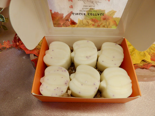 Mini Pumpkin Wax Melts - Fall Collection Hand-Poured Natural Soy /Coconut Wax Clean Burning Fragrance Oils for Cozy Autumn Vibes