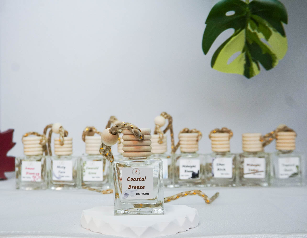 Clean & Fresh Car + Closet Diffuser β Featherand Collection