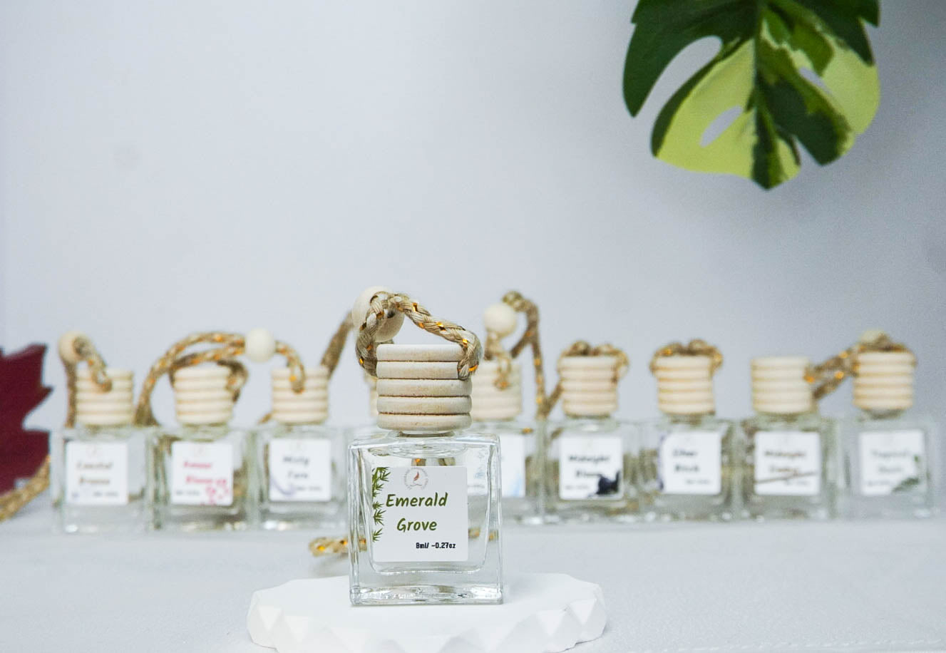 Clean & Fresh Car + Closet Diffuser β Featherand Collection