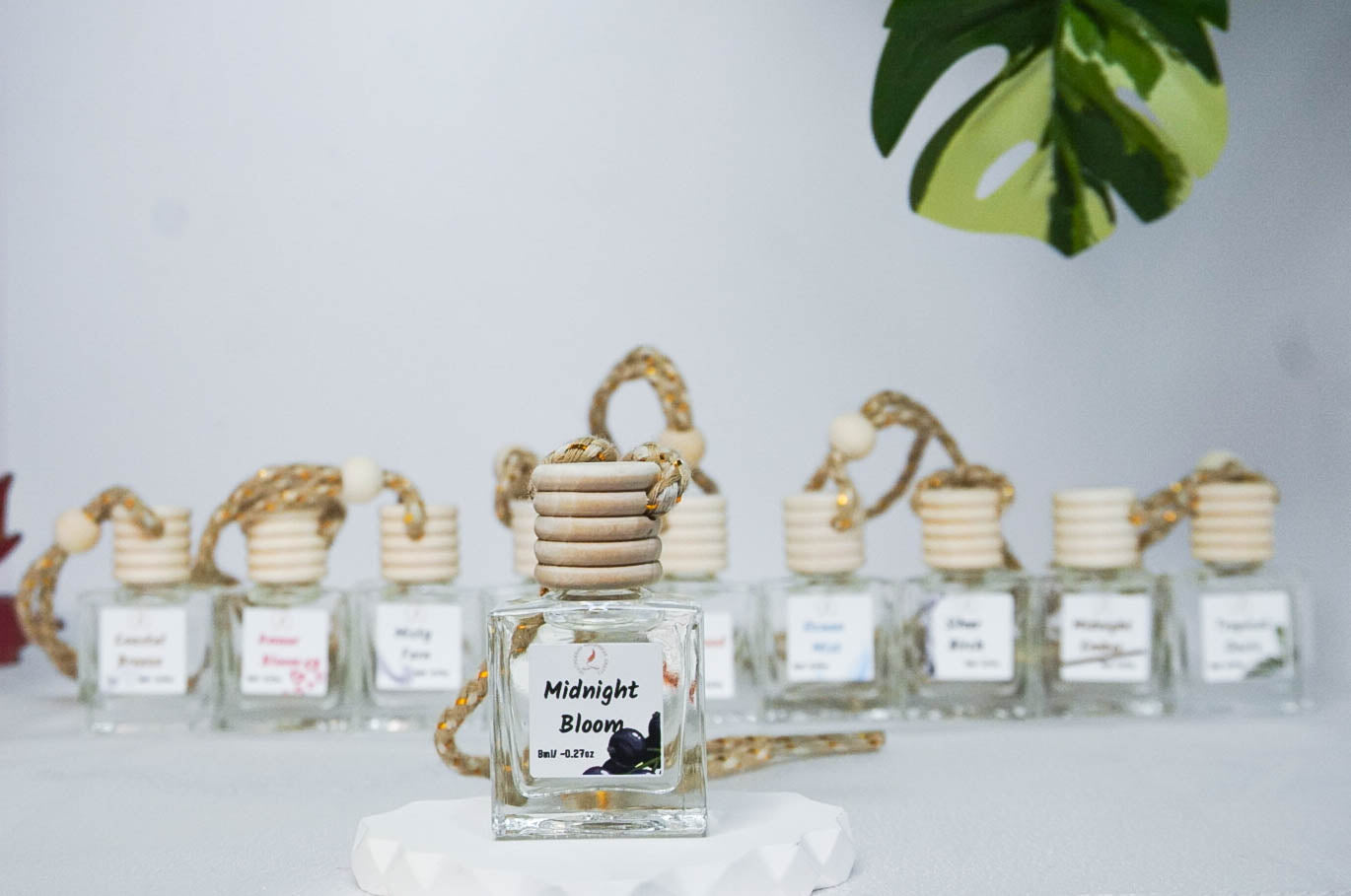 Clean & Fresh Car + Closet Diffuser β Featherand Collection