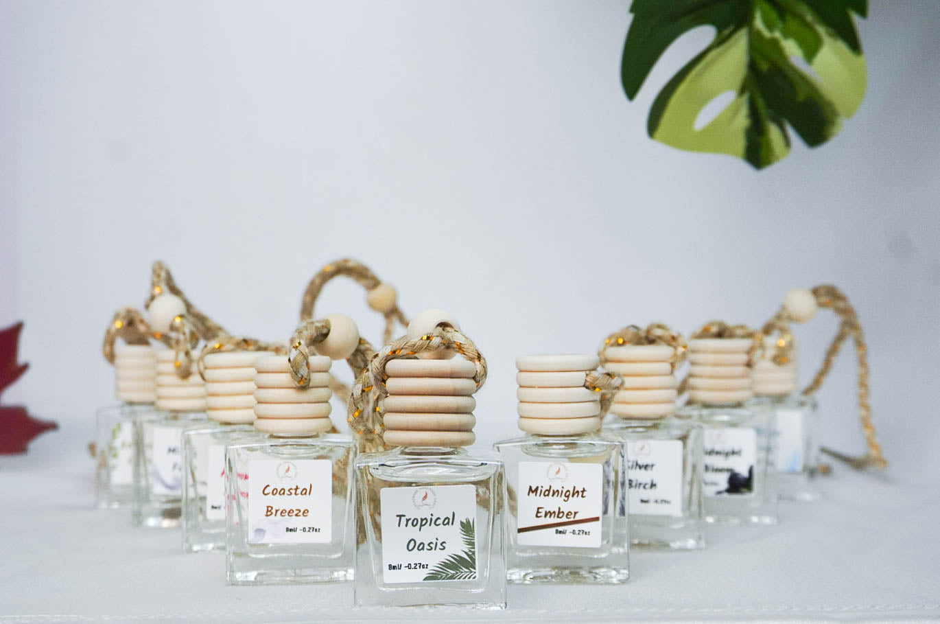 Clean & Fresh Car + Closet Diffuser β Featherand Collection