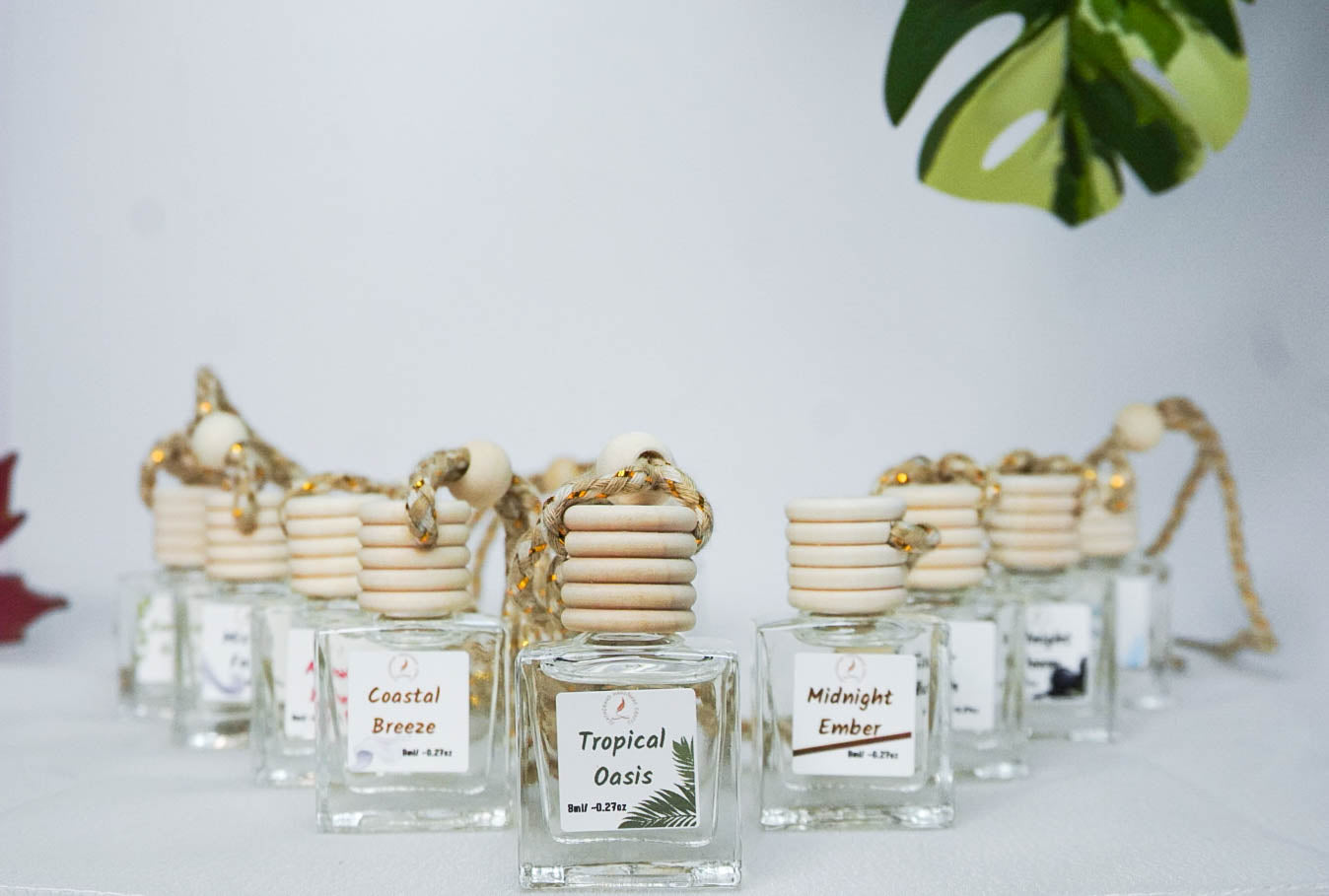 Clean & Fresh Car + Closet Diffuser β Featherand Collection