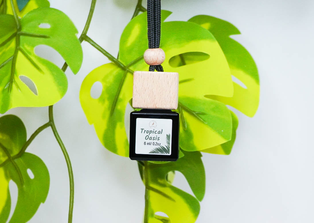 Clean & Fresh Car + Closet Diffuser β Featherand Collection