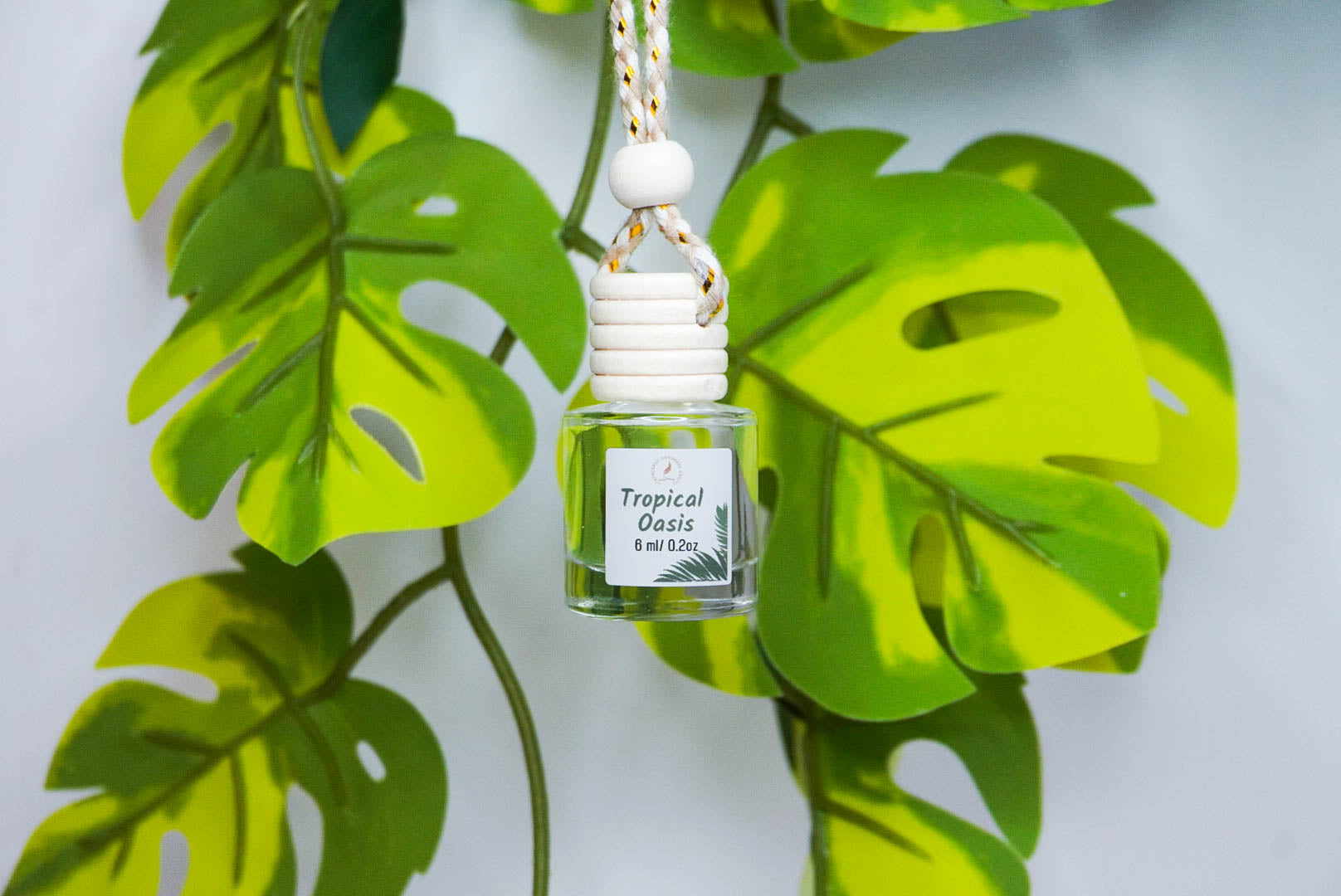 Clean & Fresh Car + Closet Diffuser β Featherand Collection