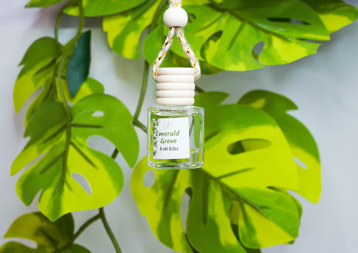 Clean & Fresh Car + Closet Diffuser β Featherand Collection