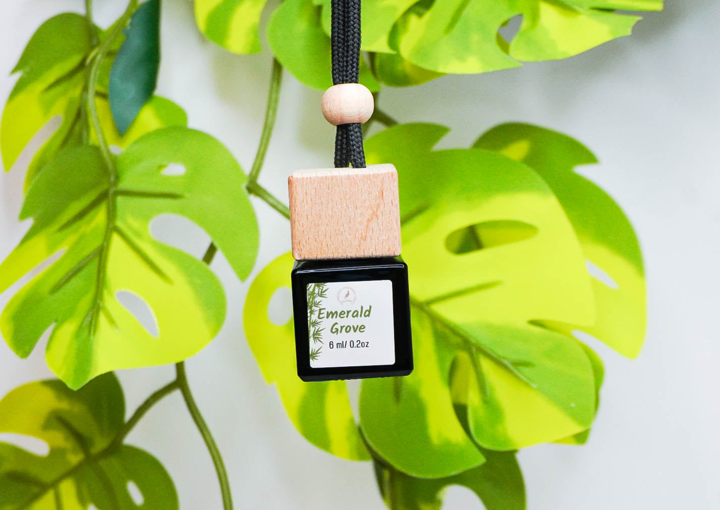 Clean & Fresh Car + Closet Diffuser β Featherand Collection