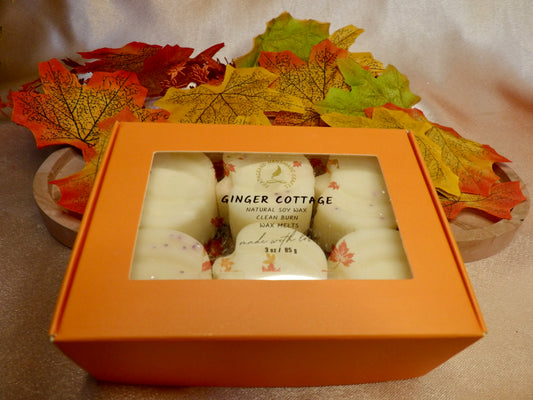 Mini Pumpkin Wax Melts - Fall Collection Hand-Poured Natural  Soy /Coconut Wax Clean Burning Fragrance Oils for Cozy Autumn Vibes