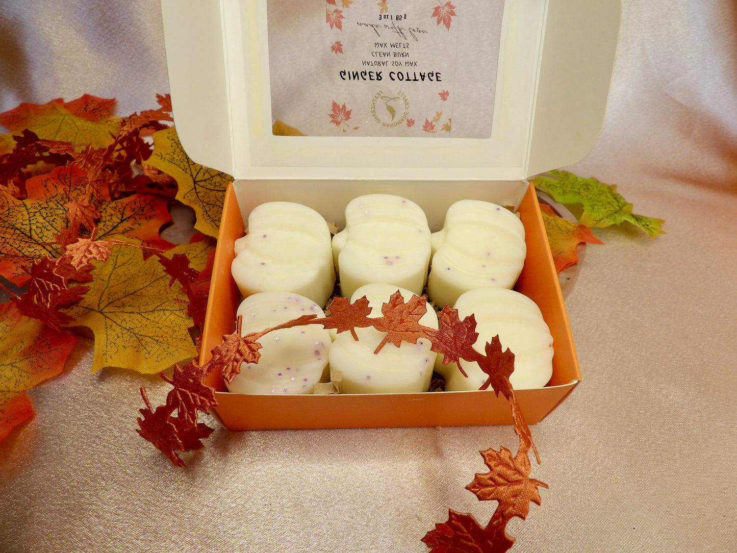 Mini Pumpkin Wax Melts - Fall Collection Hand-Poured Natural  Soy /Coconut Wax Clean Burning Fragrance Oils for Cozy Autumn Vibes