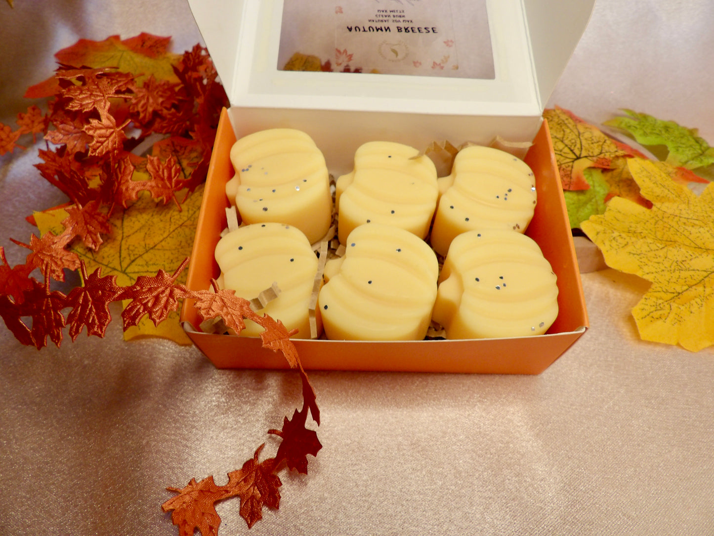 Mini Pumpkin Wax Melts - Fall Collection Hand-Poured Natural  Soy /Coconut Wax Clean Burning Fragrance Oils for Cozy Autumn Vibes