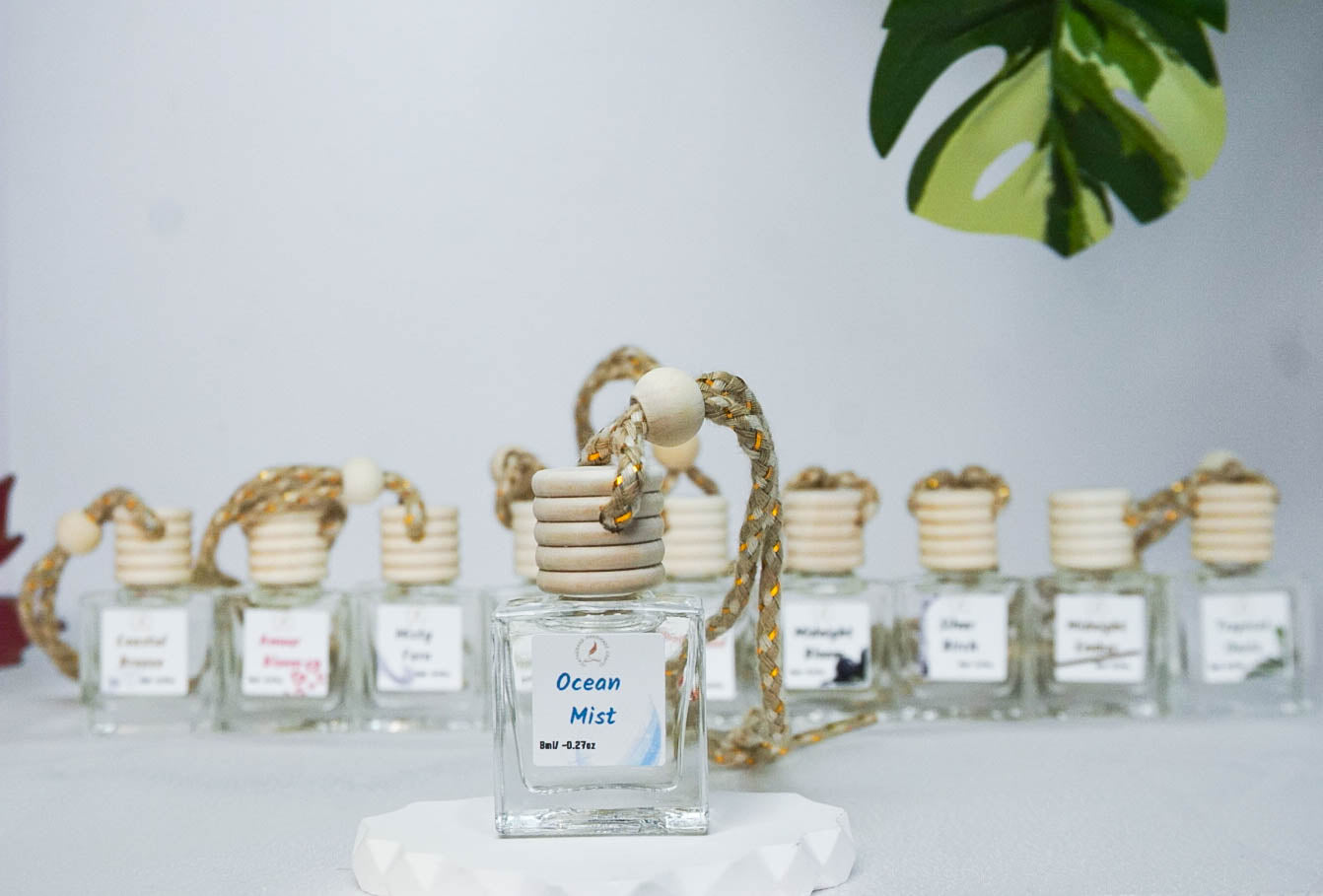 Clean & Fresh Car + Closet Diffuser – Featherand Collection