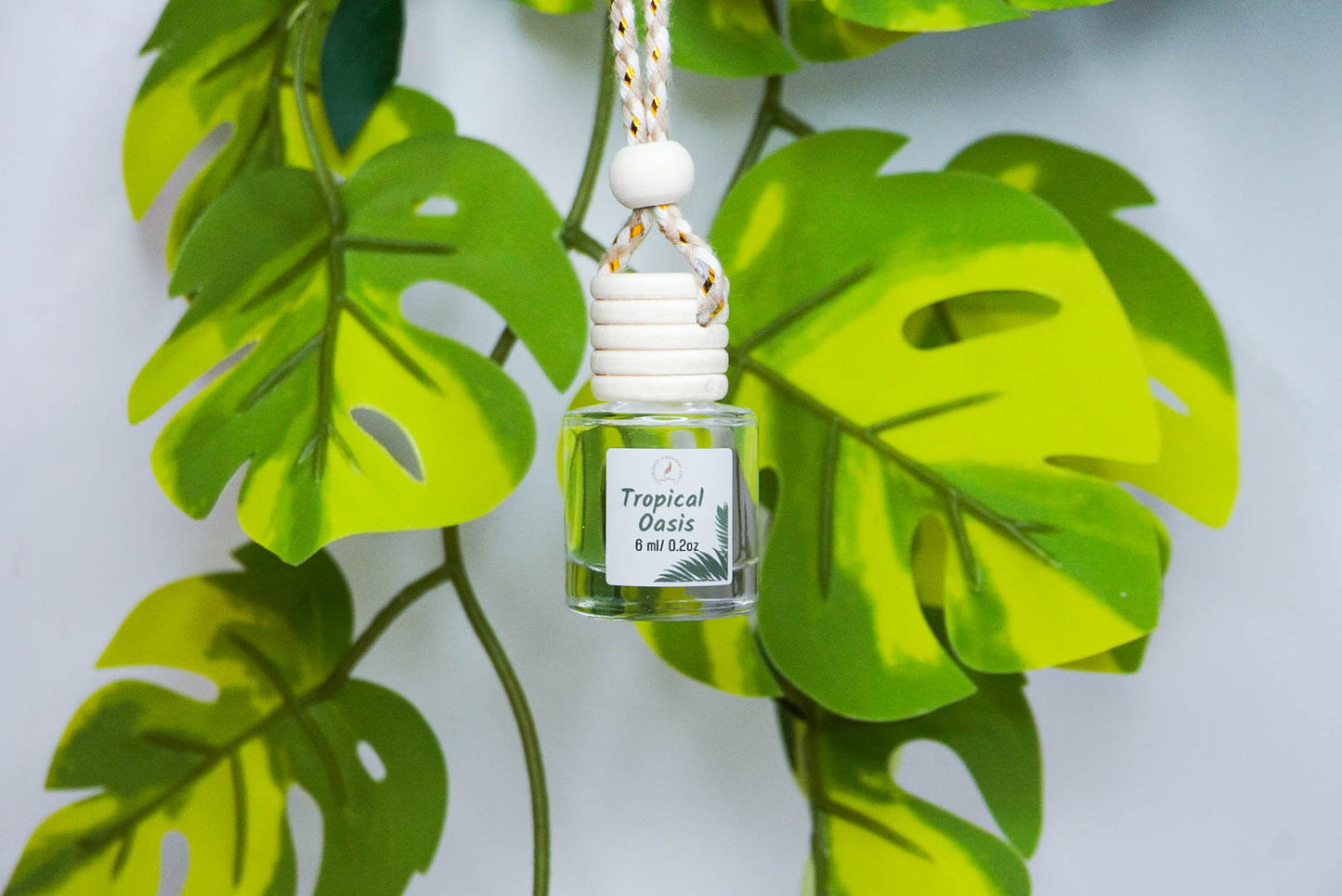 Clean & Fresh Car + Closet Diffuser – Featherand Collection