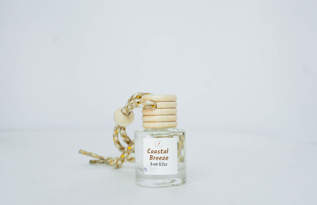 Clean & Fresh Car + Closet Diffuser – Featherand Collection