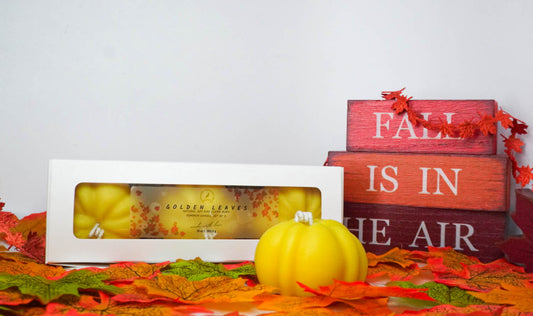 Cozy Fall Glow Pumpkin Candle Set of 3 – Natural Soy and Coconut Wax Candles | Featherand Fall Collection 🎃 Autumn Home Décor & Gifts